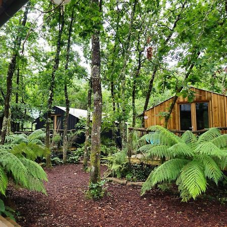 Hotel Camping Aux Couleurs Du Ferret Lège-Cap-Ferret Exterior foto