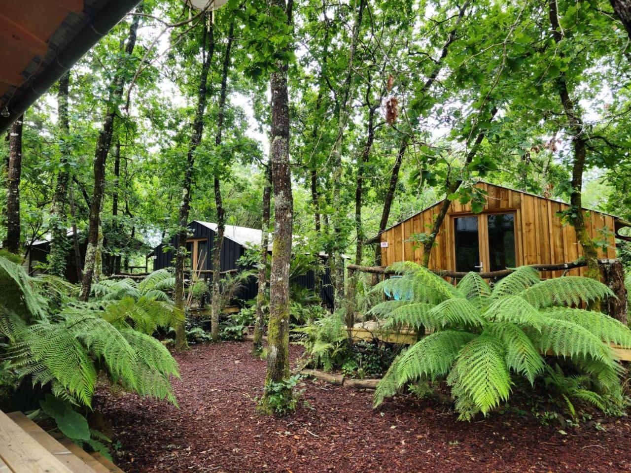 Hotel Camping Aux Couleurs Du Ferret Lège-Cap-Ferret Exterior foto