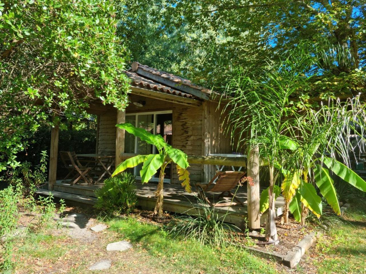 Hotel Camping Aux Couleurs Du Ferret Lège-Cap-Ferret Exterior foto